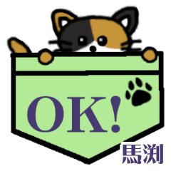 Mabuchi's Pocket Cat's  [4]