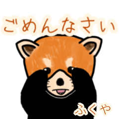 Fukuya's lesser panda
