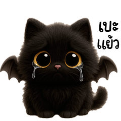 แมวดำน้อยปีกค้างคาง