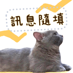 你好,貓1 ☆ 訊息貼圖隨你填