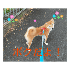 emi_20251009124104