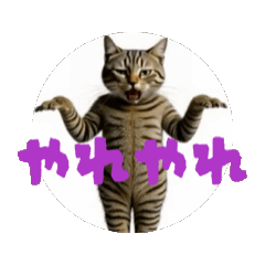 お酒とネコ好きな日常会話69