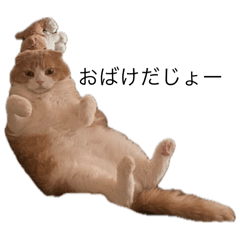 kusozaru_20251009012021