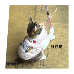 元寶元寶可可愛愛#1