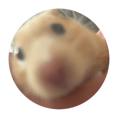 m_20251009123830