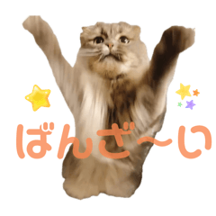 Yun_20251009125030
