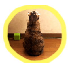 tAkumi_20251009135206