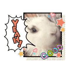 Active Bunny Prego 2 (Japanese)