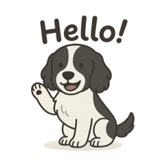 English Springer Spaniel !!