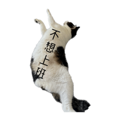 麻糬圓
