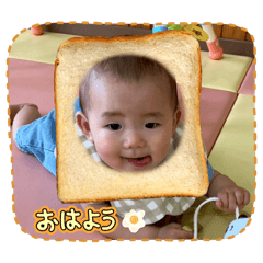 maple_20251009093407