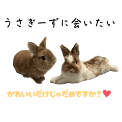 Misaki_20251009071726