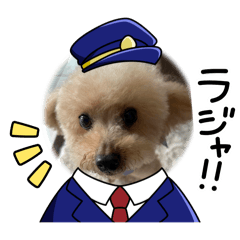 uchino.wanko_20251009190636