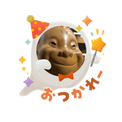 chi_20251009191106