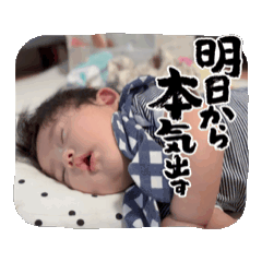 shiho_20251009231713