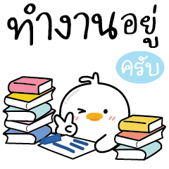 D-Duck แชทเป็ดทำงานครับ