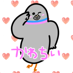 Chubby pigeon Metaboppo Generation Z_2