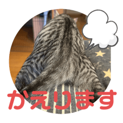 chiko_20251009173632