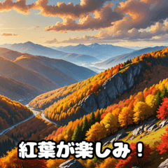 秋の温かい言葉と心地よいひととき