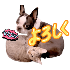 katsumin_20251009204717