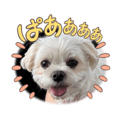 rrrreeen_20251009204009