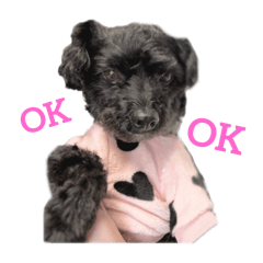 hinata_20251009211307