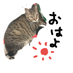 CHI-BI-TA