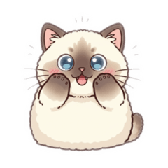 moon and star_20251009215531