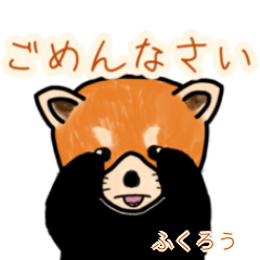 Fukurou's lesser panda