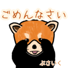 Busaiku's lesser panda