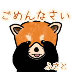 Fusato's lesser panda
