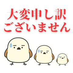 脱力、シマエナガ。