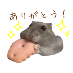 love hamster sticker.