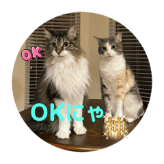 Sherry_20251009184616