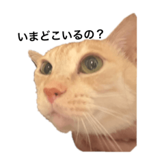m_20251009185119