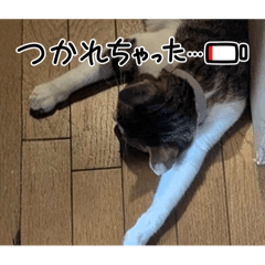 kiki_20251009222200
