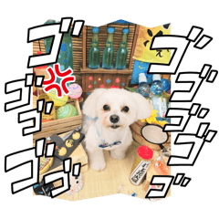 Velkis_20251010074838