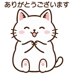 แมวนุ่มฟูในชีวิตประจำวัน :ธุรกิจ & สุภาพ