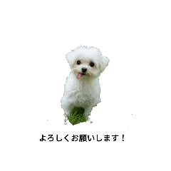 yuka_20251009234357