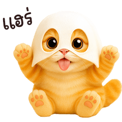 Orange cat  cute Ghost