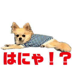 asuka_20251010010700