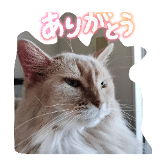 yuuuuuchan_20251009161704