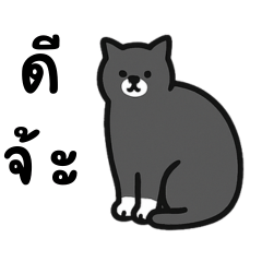 แมวน่ารักตัวนี้เป็นของคุณนะ