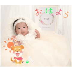 ARISA_20251009161944