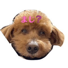 poohko&nbsp; &nbsp;2