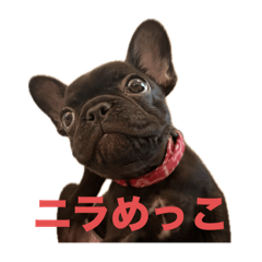 AnpanZ_20251009164817