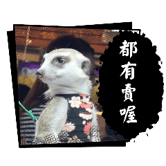 膜鬼貼手-營業用貼圖3