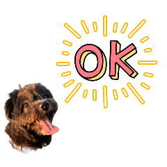 rabbimon_20251010105856