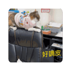 元寶寶#2我會動喔