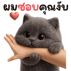 มะเหมียว สีเทา